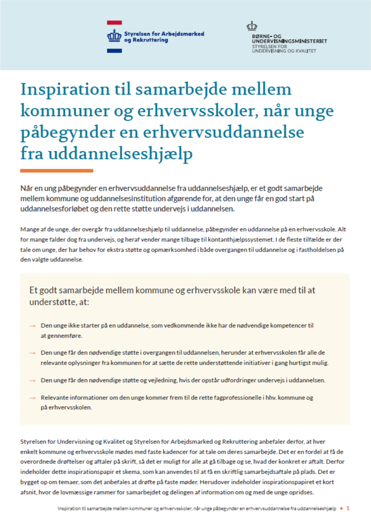 Inspirationspapir Til Kommuner Og Erhvervsskoler Om Unge, Der ...