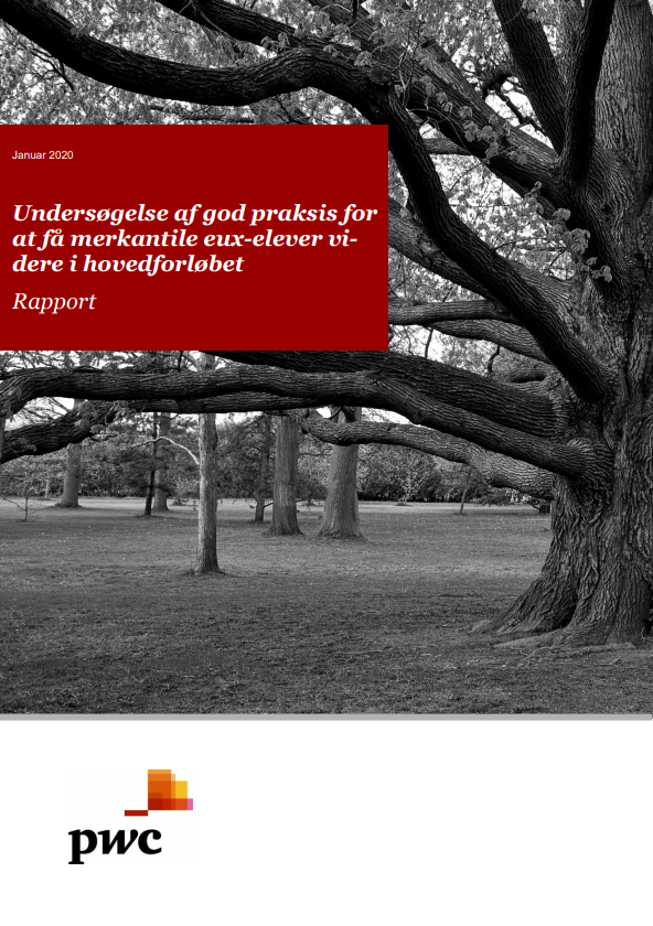 Forside til publikationen "Undersøgelse af god praksis for at få merkantile eux-elever videre i hovedforløbet.