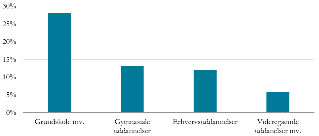 Grundskole: 28%. Gymnasiale uddannelser: 13%. Erhvervsuddannelser: 12%. Videregående uddannelser: 6%.